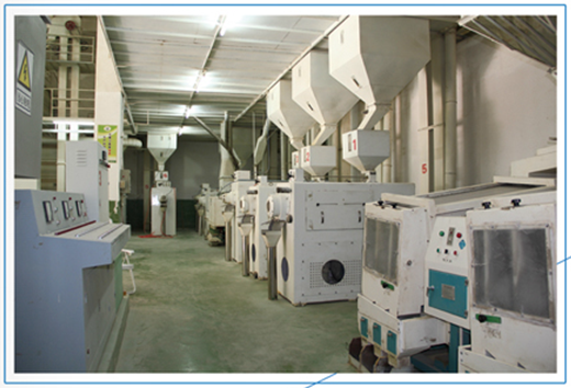 Food Machinery